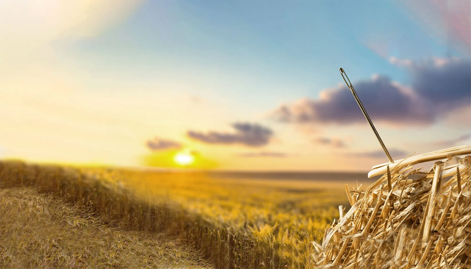 Learning Technology Selection: Where to Find Your Tiny Needle in the Industry’s Very Large Haystack